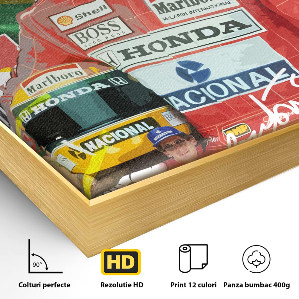 Detaliu al suprafetei: tablou canvas cu pilotul ayrton senna, in rama de aluminiu auriu